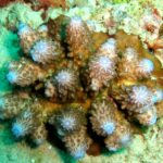 Andamany / Nikobary / Mirosław Kopik / Radio Kielce