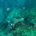 Andamany / Nikobary / Mirosław Kopik / Radio Kielce