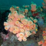 Andamany / Nikobary / Mirosław Kopik / Radio Kielce