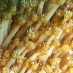 Andamany / Nikobary / Mirosław Kopik / Radio Kielce