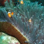 Andamany / Nikobary / Mirosław Kopik / Radio Kielce