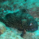 Andamany / Nikobary / Mirosław Kopik / Radio Kielce