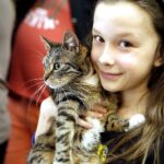 19.02.2017 Kielce. Dzień kota w Muzeum Zabawy i Zabawek / Jarosław Kubalski / Radio Kielce