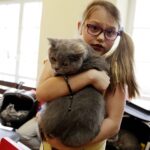 19.02.2017 Kielce. Dzień kota w Muzeum Zabawy i Zabawek / Jarosław Kubalski / Radio Kielce