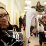 19.02.2017 Kielce. Dzień kota w Muzeum Zabawy i Zabawek / Jarosław Kubalski / Radio Kielce