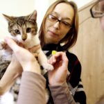 19.02.2017 Kielce. Dzień kota w Muzeum Zabawy i Zabawek / Jarosław Kubalski / Radio Kielce