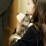 19.02.2017 Kielce. Dzień kota w Muzeum Zabawy i Zabawek / Jarosław Kubalski / Radio Kielce