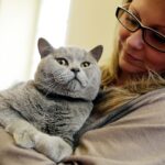 19.02.2017 Kielce. Dzień kota w Muzeum Zabawy i Zabawek / Jarosław Kubalski / Radio Kielce