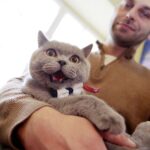 19.02.2017 Kielce. Dzień kota w Muzeum Zabawy i Zabawek / Jarosław Kubalski / Radio Kielce