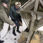 11.02.2017 Łosienek. Myśliwi dokarmiają zwierzęta w lesie / Jarosław Kubalski / Radio Kielce