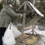 11.02.2017 Łosienek. Myśliwi dokarmiają zwierzęta w lesie / Jarosław Kubalski / Radio Kielce