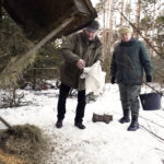 11.02.2017 Łosienek. Myśliwi dokarmiają zwierzęta w lesie / Jarosław Kubalski / Radio Kielce