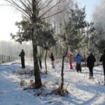 Stowarzyszenie „Aktywna Kraina” z Woli Wiśniowskiej zorganizowało kurs narciarstwa biegowego. / Grażyna Szlęzak-Wójcik / Radio Kielce