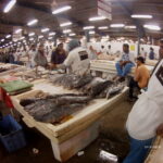 Zjednoczone Emiraty Arabskie / Mirosław Kopik / Radio Kielce