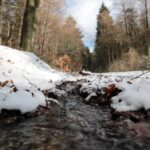 Świętokrzyski Park Narodowy / Święty Krzyż / Robert Felczak / Radio Kielce