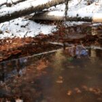 Świętokrzyski Park Narodowy / Święty Krzyż / Robert Felczak / Radio Kielce