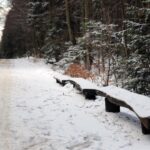 Świętokrzyski Park Narodowy / Święty Krzyż / Robert Felczak / Radio Kielce