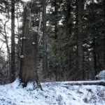 Świętokrzyski Park Narodowy / Święty Krzyż / Robert Felczak / Radio Kielce