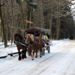 Świętokrzyski Park Narodowy / Święty Krzyż / Robert Felczak / Radio Kielce