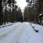 Świętokrzyski Park Narodowy / Święty Krzyż / Robert Felczak / Radio Kielce