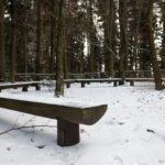 Świętokrzyski Park Narodowy / Święty Krzyż / Robert Felczak / Radio Kielce