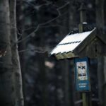 Świętokrzyski Park Narodowy / Święty Krzyż / Robert Felczak / Radio Kielce