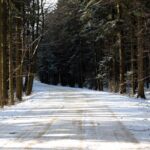 Świętokrzyski Park Narodowy / Święty Krzyż / Robert Felczak / Radio Kielce