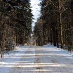 Świętokrzyski Park Narodowy / Święty Krzyż / Robert Felczak / Radio Kielce