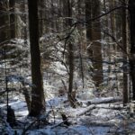 Świętokrzyski Park Narodowy / Święty Krzyż / Robert Felczak / Radio Kielce