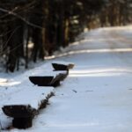Świętokrzyski Park Narodowy / Święty Krzyż / Robert Felczak / Radio Kielce