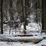 Świętokrzyski Park Narodowy / Święty Krzyż / Robert Felczak / Radio Kielce