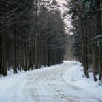 Świętokrzyski Park Narodowy / Święty Krzyż / Robert Felczak / Radio Kielce