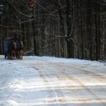 Świętokrzyski Park Narodowy / Święty Krzyż / Robert Felczak / Radio Kielce