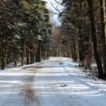 Świętokrzyski Park Narodowy / Święty Krzyż / Robert Felczak / Radio Kielce