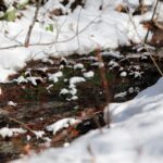 Świętokrzyski Park Narodowy / Święty Krzyż / Robert Felczak / Radio Kielce