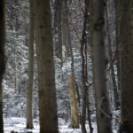 Świętokrzyski Park Narodowy / Święty Krzyż / Robert Felczak / Radio Kielce