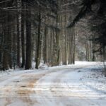 Świętokrzyski Park Narodowy / Święty Krzyż / Robert Felczak / Radio Kielce