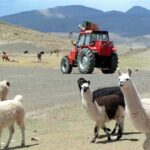 Ameryka Południowa. Traktoriada / Marcin Obałek