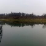 Jędrzejów. Zalew w Jędrzejowie / Ewa Pociejowska - Gawęda / Radio Kielce