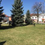 Staszów. Prace porządkowe przed wizytą Prezydenta RP (29 marca 2017 r) / Grażyna Szlęzak - Wójcik / Radio Kielce