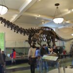 Nowy Jork / Robert Kowalski