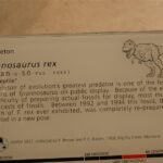 Nowy Jork / Robert Kowalski