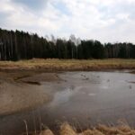 31.03.2017 Suchedniów. Rozpoczęła się rewitalizacja zalewu miejskiego / Tomasz Piwko / Radio Kielce