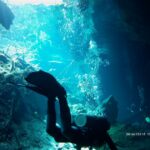 Meksyk. Cenoty / Robert Kowalski