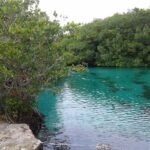 Meksyk. Cenoty / Robert Kowalski