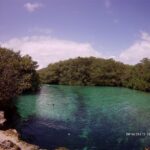 Meksyk. Cenoty / Robert Kowalski