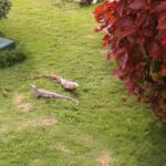 Meksyk. Tulum / Robert Kowalski