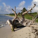 Meksyk. Tulum / Robert Kowalski