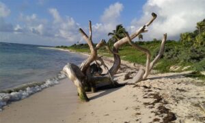 Meksyk. Tulum / Robert Kowalski