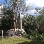 Meksyk. Kohunlich / Robert Kowalski